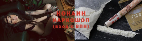 apvp Осинники