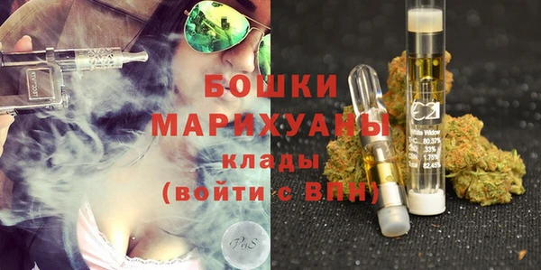 гидра Медвежьегорск