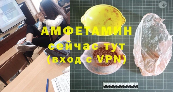 гидра Медвежьегорск