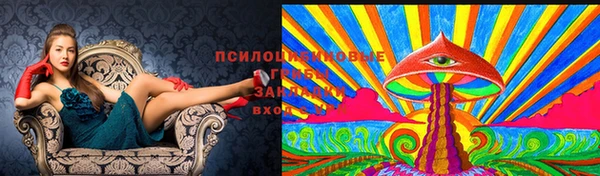 гидра Медногорск