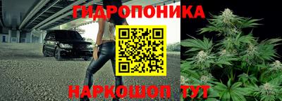 apvp Дубна