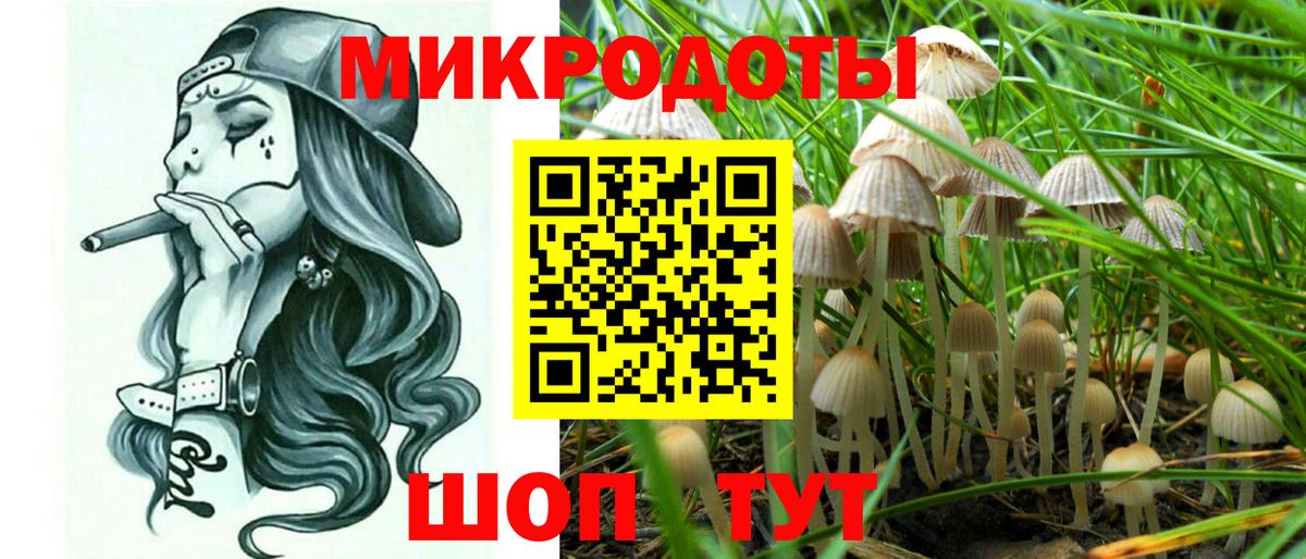 Псилоцибиновые грибы Magic Shrooms Рубцовск