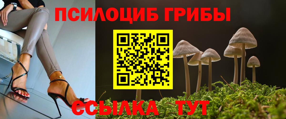 Рубцовск  Галлюциногенные грибы Cubensis  Вход с VPN 