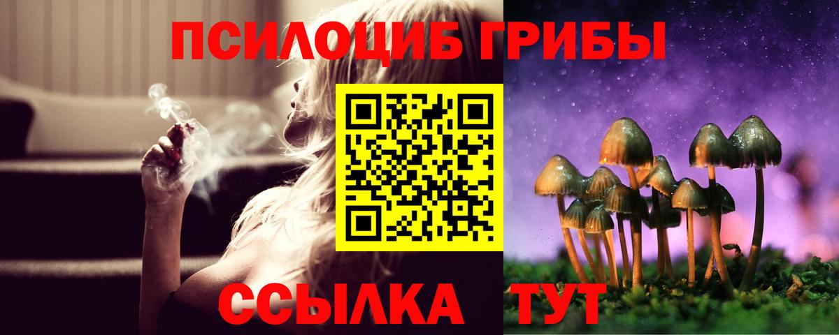 Галлюциногенные грибы MAGIC MUSHROOMS Рубцовск